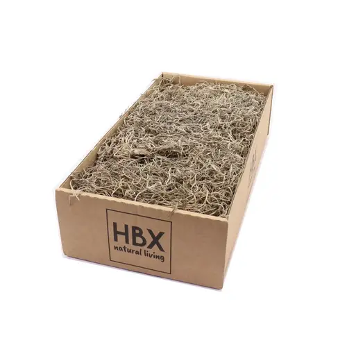Trocken Tillandsia Moos 350g Natur im Karton