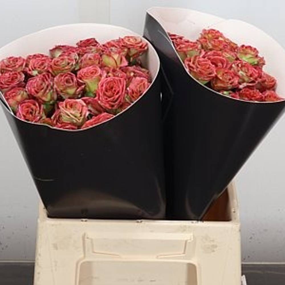 Rose verzweigt grün/rot Wachs Flaming Mint 40cm