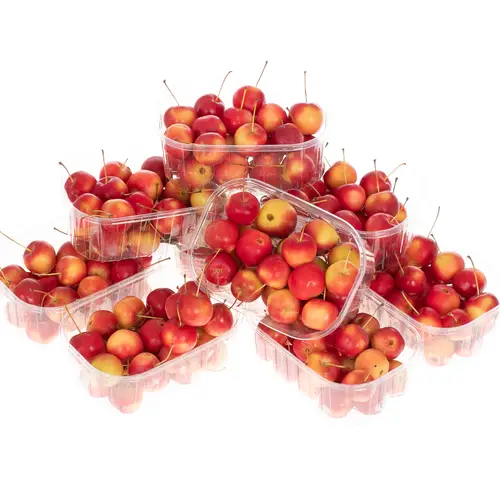 Äpfelchen rot klein Malus