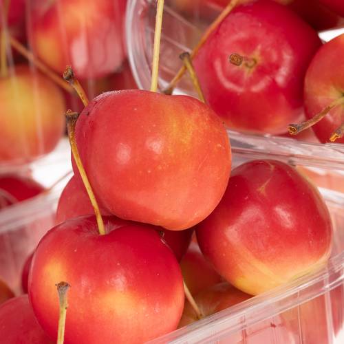 Äpfelchen rot klein Malus