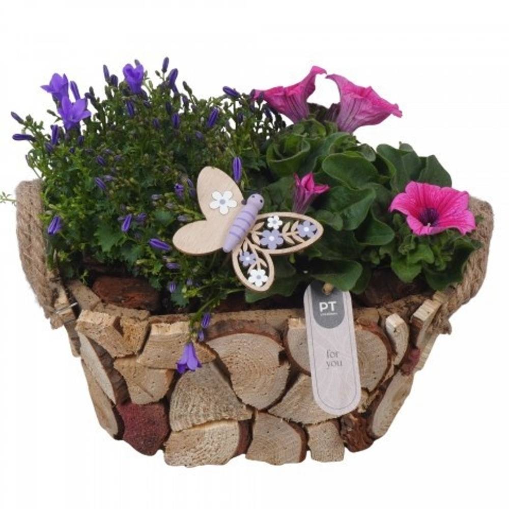 Garten.Arr PTPP7023 T23 H024