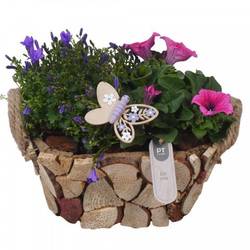 Garten.Arr PTPP7023 T23 H024