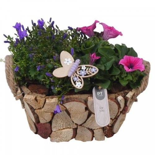 Garten.Arr PTPP7023 T23 H024