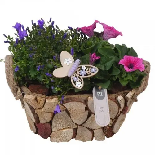 Garten.Arr PTPP7023 T23 H024