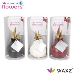 Amar.Bol Wachs mix Colorz Rohr mix Bl. H15