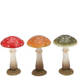 Pilz Wonderland mix 11x11x18cm