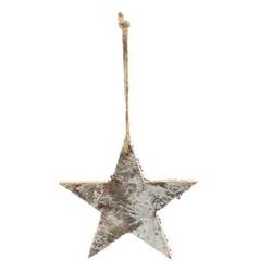 Hänger Snow Star D15cm