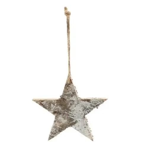 Hänger Snow Star D15cm