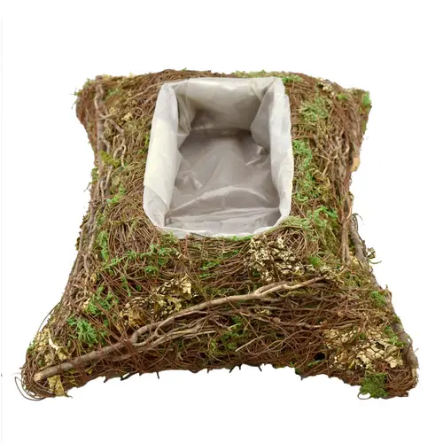 Mühlenbeckia Übertopf Rechteck 26x18x08cm