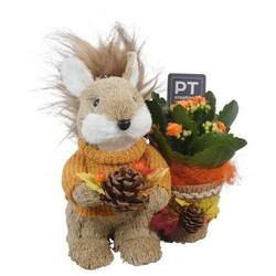 Kal.Arr PTHI5452 Herbst T15 H020