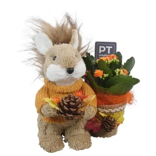 Kal.Arr PTHI5452 Herbst T15 H020