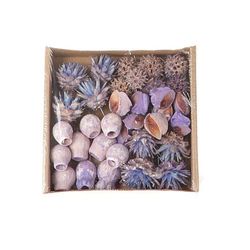 Trocken Exotic mix auf Draht lila x35