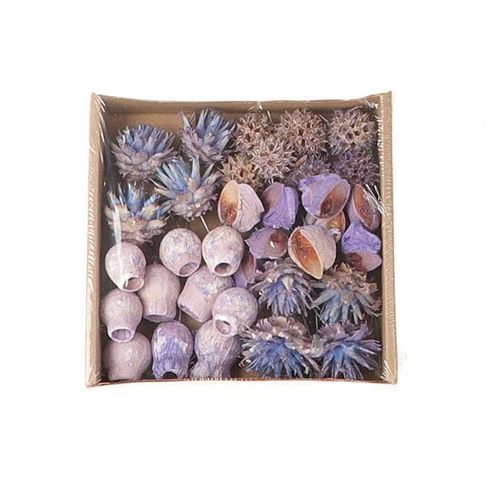 Trocken Exotic mix auf Draht lila x35
