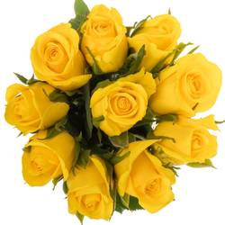 Rose gelb Moonwalk 40cm Ostern