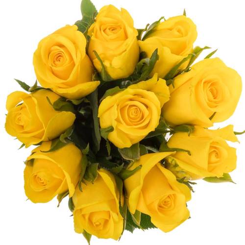 Rose gelb Moonwalk 40cm Ostern