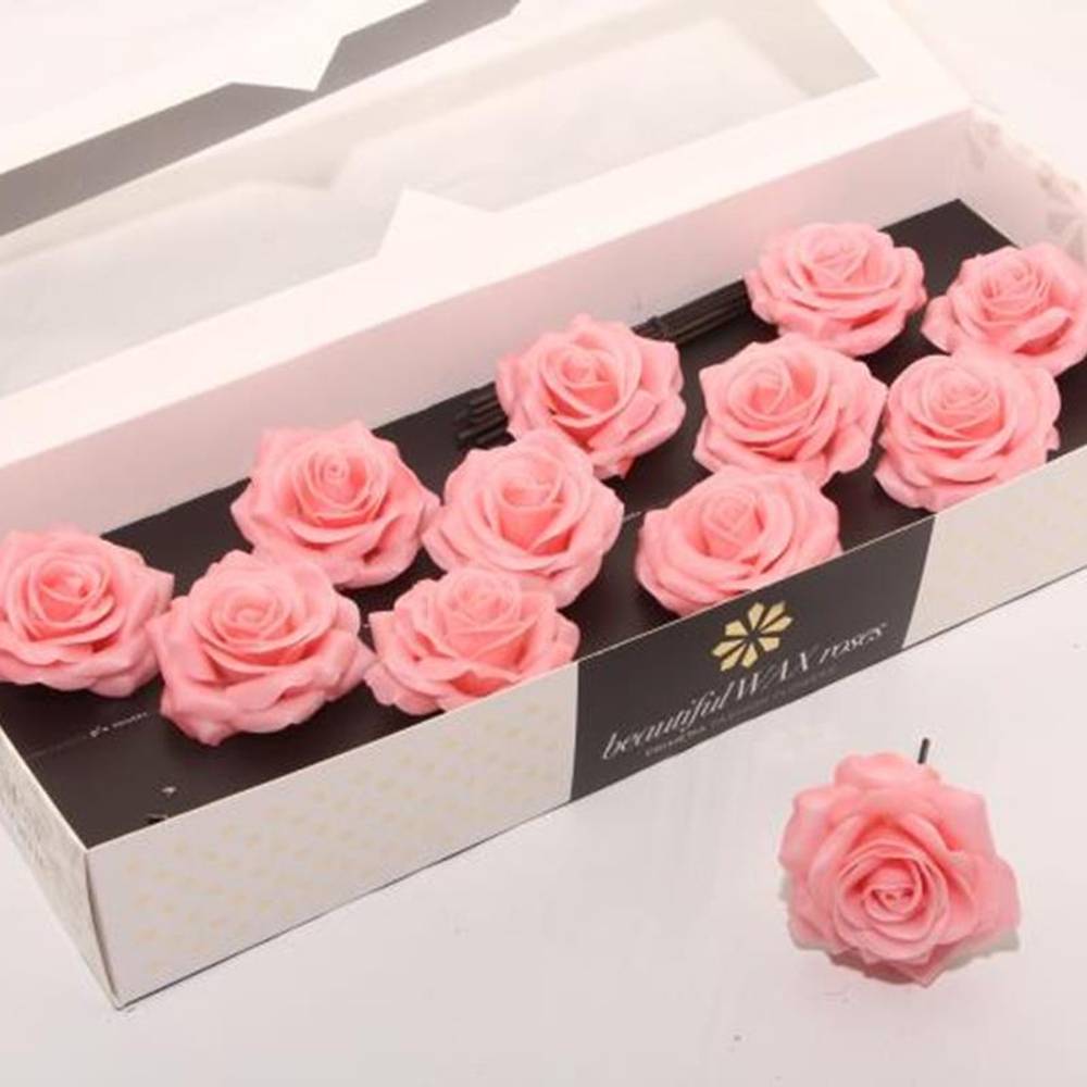 Seiden Wachs Rose apricot D10cm (9120) Versillia