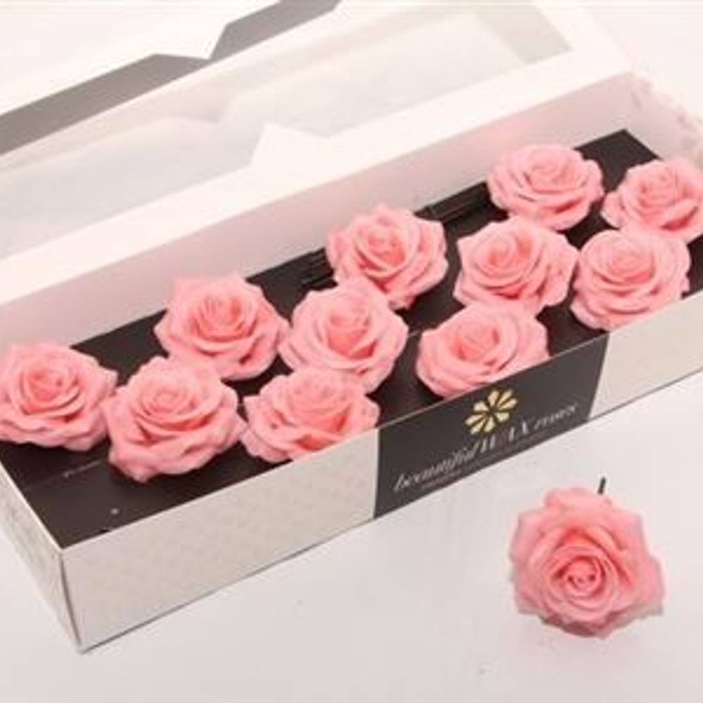 Seiden Wachs Rose apricot D10cm (9120) Versillia