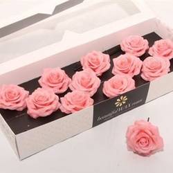 Seiden Wachs Rose apricot D10cm (9120) Versillia