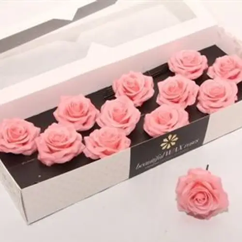 Seiden Wachs Rose apricot D10cm (9120) Versillia