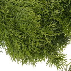 Girlande Thuja rund gebunden 10 Meter