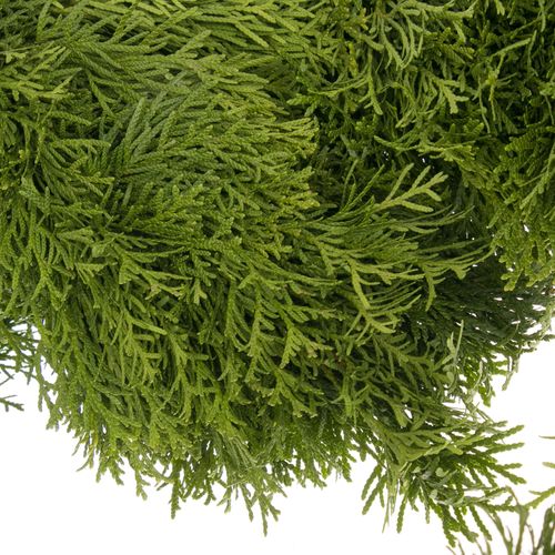 Girlande Thuja rund gebunden 10 Meter