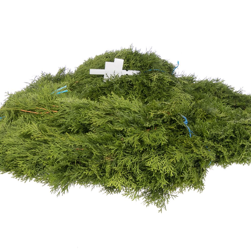 Girlande Thuja rund gebunden 10 Meter