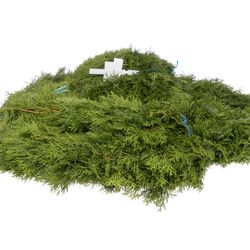Girlande Thuja rund gebunden 10 Meter