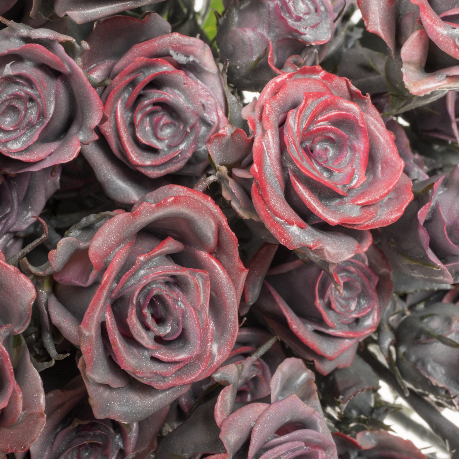 Rose verzweigt milka/rot Wachs Flaming Silverado 40cm