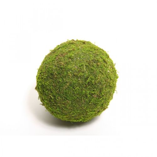 Moos Kugel D15cm