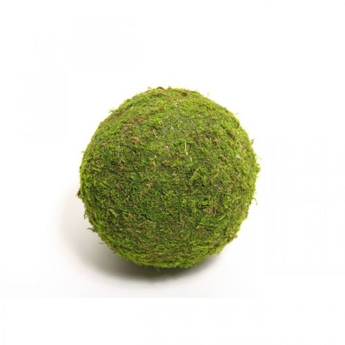 Moos Kugel D15cm