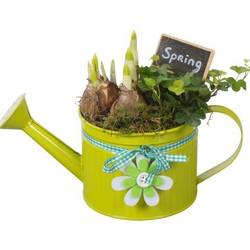 Garten.Arr PTBM3739 T12 H020