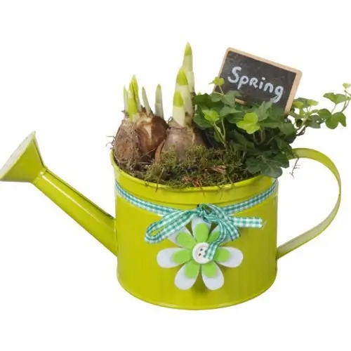 Garten.Arr PTBM3739 T12 H020