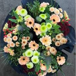 Strauß apricot Germini 18 Stiele 50cm