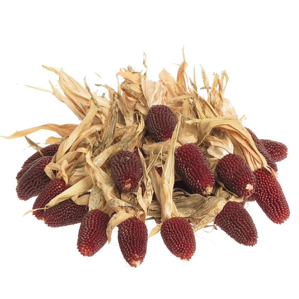 Mais Kopf rot Bol 9cm