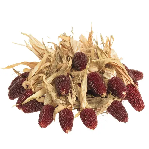 Mais Kopf rot Bol 9cm