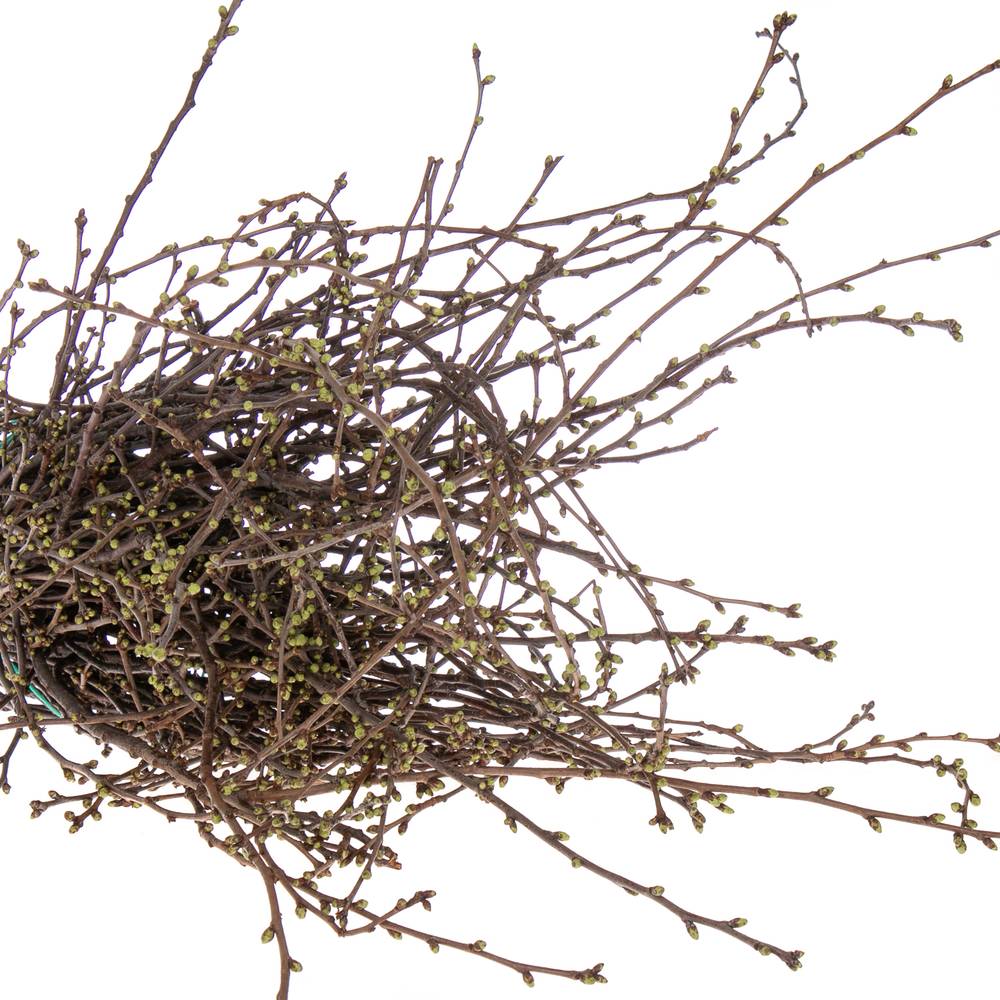 Kirsche Zweige pro bund  (+50 stiele) 90cm