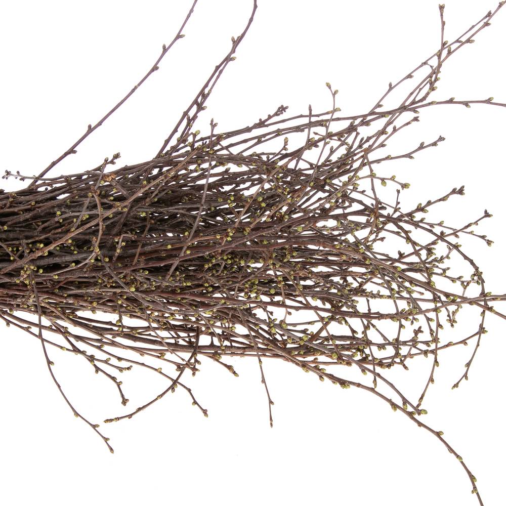Kirsche Zweige pro bund  (+50 stiele) 90cm