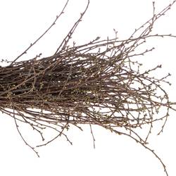 Kirsche Zweige pro bund  (+50 stiele) 90cm