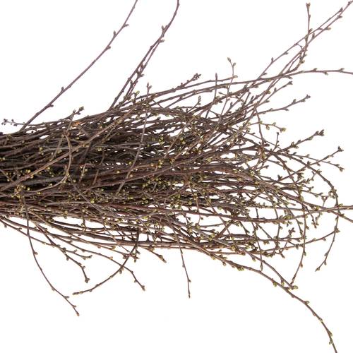Kirsche Zweige pro bund  (+50 stiele) 90cm