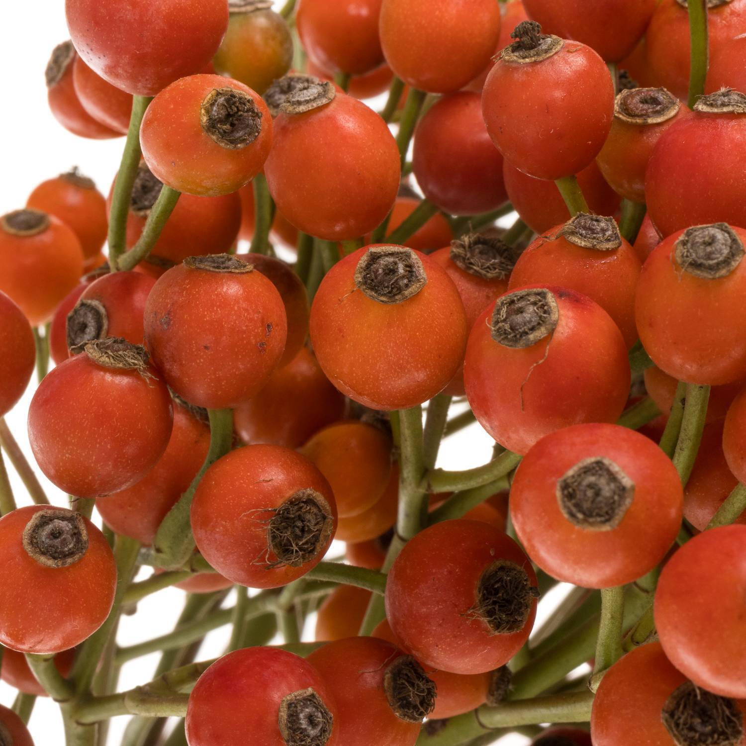 Haustierbett Mit Abnehmbarem Bezug Scott | Dekoarti Produktbild-Vorschau 2