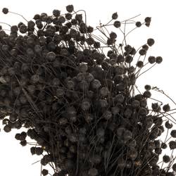 Kranz Flachs schwarz D30cm