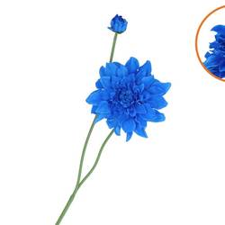 Seiden Dahlia Spike blau L78cm