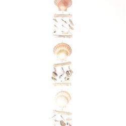 Hänger Muscheln L89cm