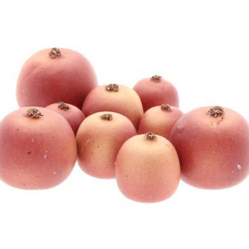 Apfel Malus rot mix x9
