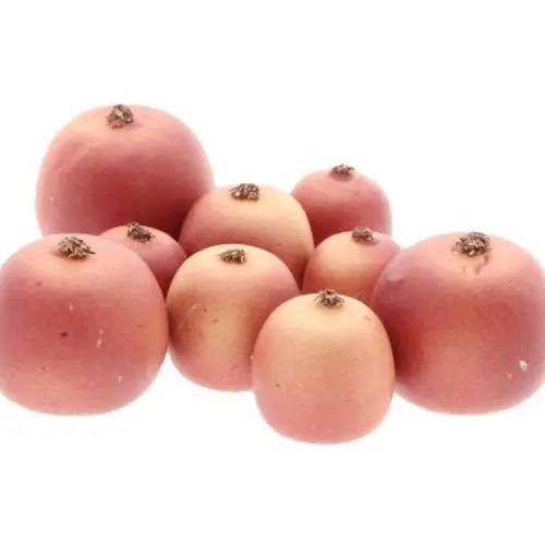 Apfel Malus rot mix x9