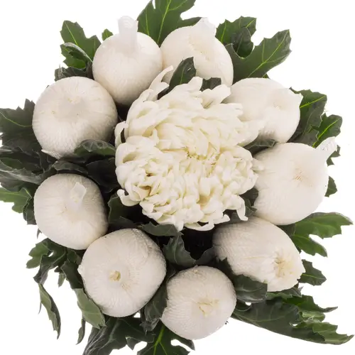 Chrys.Deko weiss Stravina 90Gramm 70cm