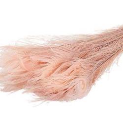 Pfauenfedern rosa L90cm