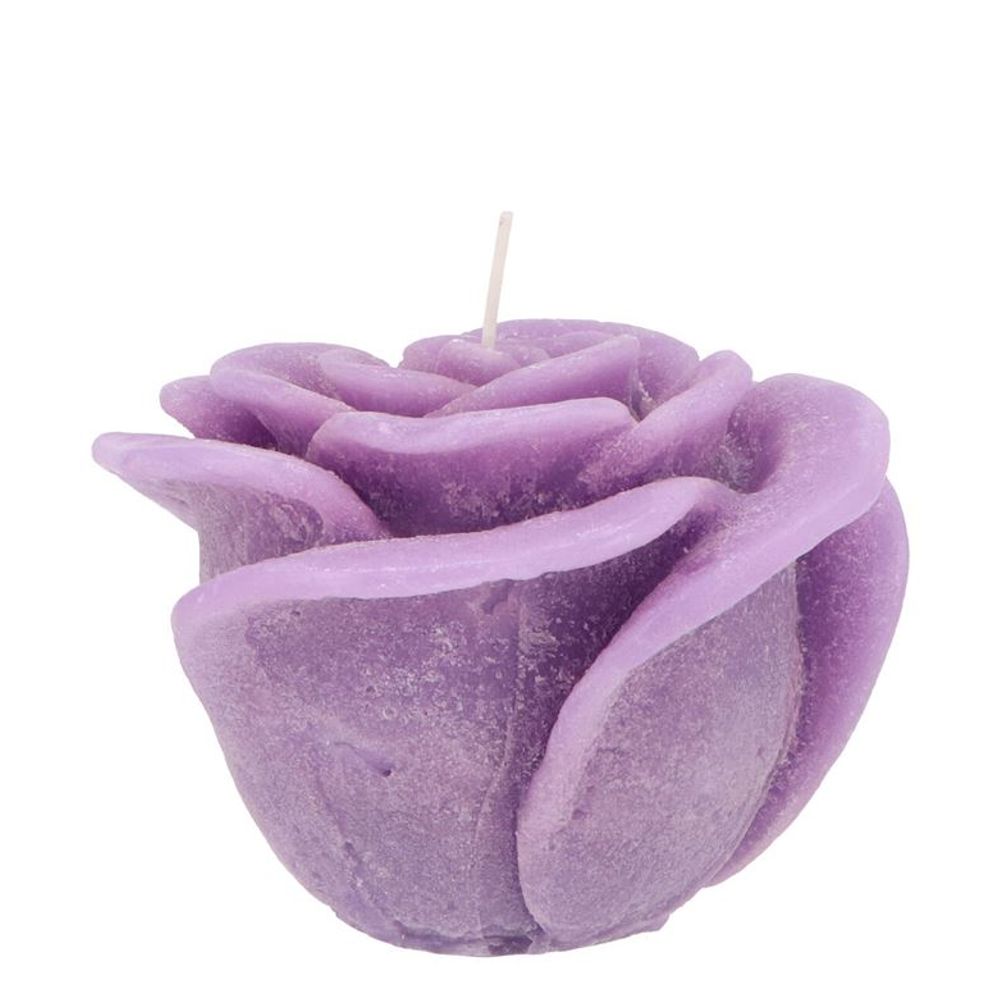 Kerze Rose lila D08cm H07cm