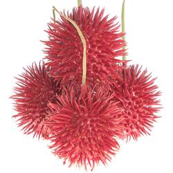 Igel rot Wachs D6cm