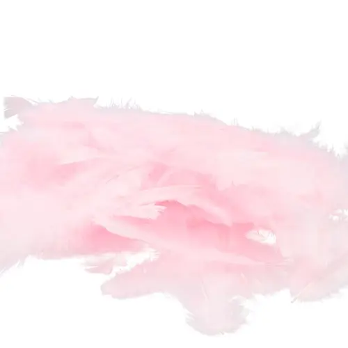 Truthahnfedern hell rosa 45gr
